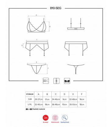 Obsessive - 810 Garter Set, Black