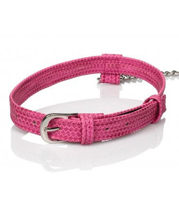 Tickle Me Pink Collar with Leash