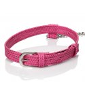 Tickle Me Pink Collar with Leash