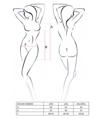 Passion - Haylin Chemise & Thong