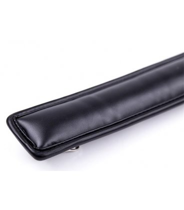 Fetish Addict - Collar with Metal Leasch