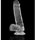 XRay Clear Cock - 18,5cm
