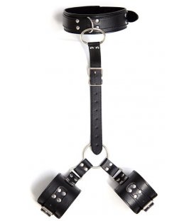 Fetish Addict - Collar with Restraints, M1