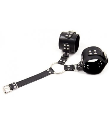 Fetish Addict - Collar with Restraints, M1