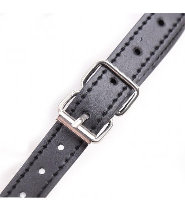 Fetish Addict - Mouth Shaped Ball Gag