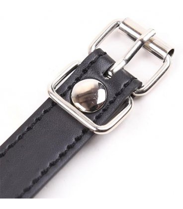 Fetish Addict - Mouth Shaped Ball Gag