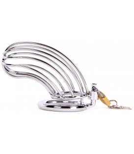 Metal Chastity Cage, Bird Cage