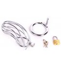 Metal Chastity Cage, Bird Cage