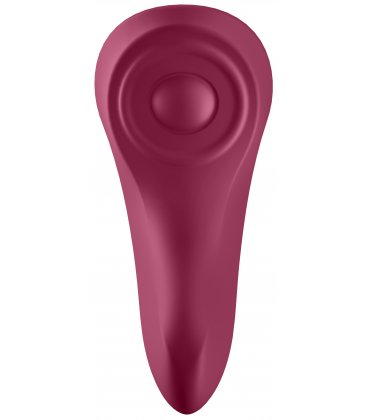 Satisfyer - Sexy Secret Panty Vibrator