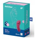 Satisfyer - Sexy Secret Panty Vibrator