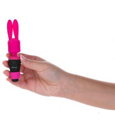 PalmPower - Pocket Extended