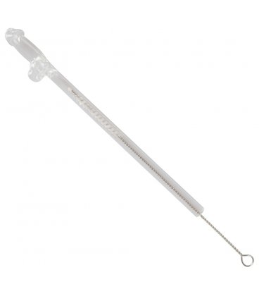 Glass Drinking Straw Willy