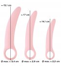 Vaginal Trainers