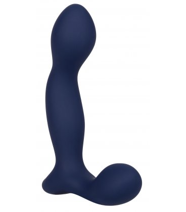 Viceroy Expert Probe