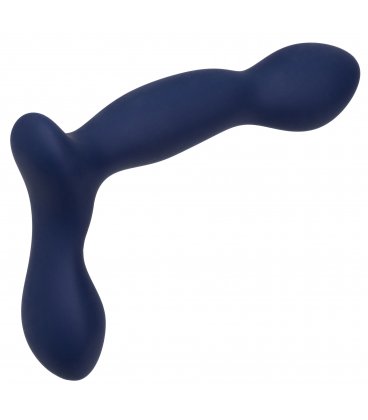 Viceroy Expert Probe