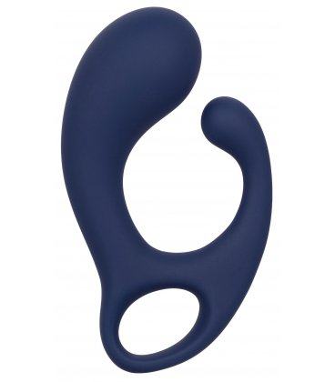 Viceroy Direct Probe