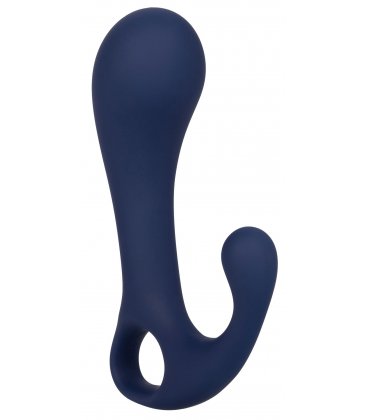 Viceroy Direct Probe