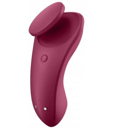 Satisfyer - Partner Box, Sexy Secret Panty Vibrator & Double Joy