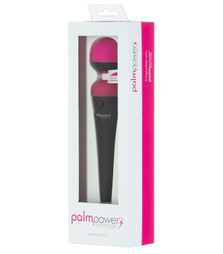 PalmPower - Recharge Wand Massager