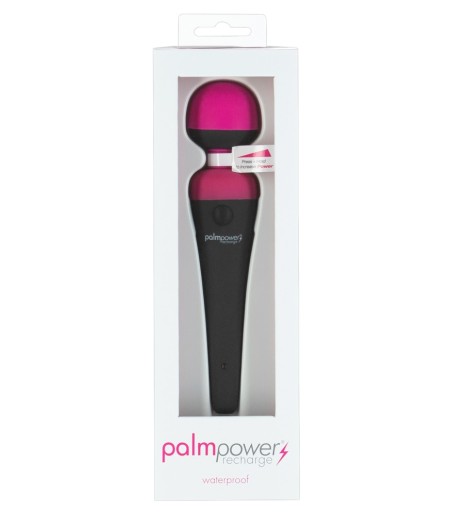 PalmPower - Recharge Wand Massager