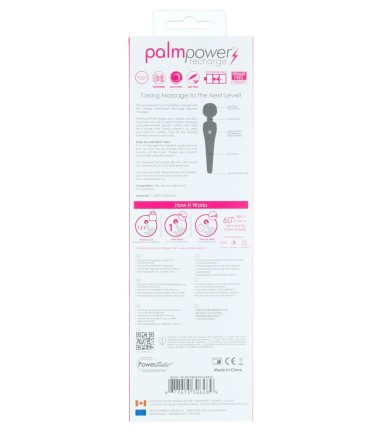 PalmPower - Recharge Wand Massager