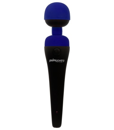 PalmPower - Recharge Wand Massager, Blue