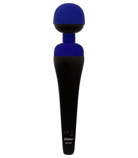 PalmPower - Recharge Wand Massager, Blue