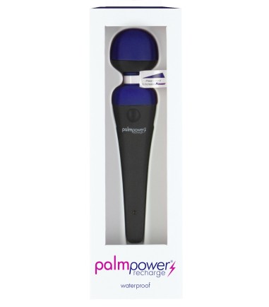 PalmPower - Recharge Wand Massager, Blue