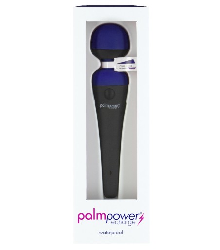 PalmPower - Recharge Wand Massager, Blue