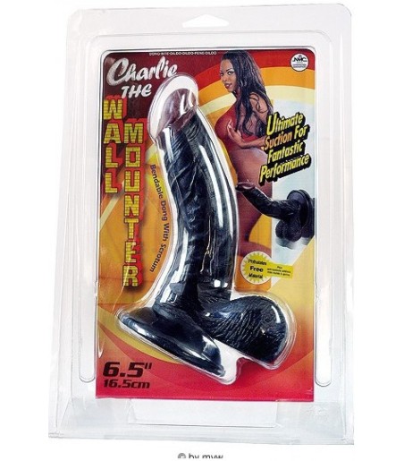 Charlie The Wall Mounter