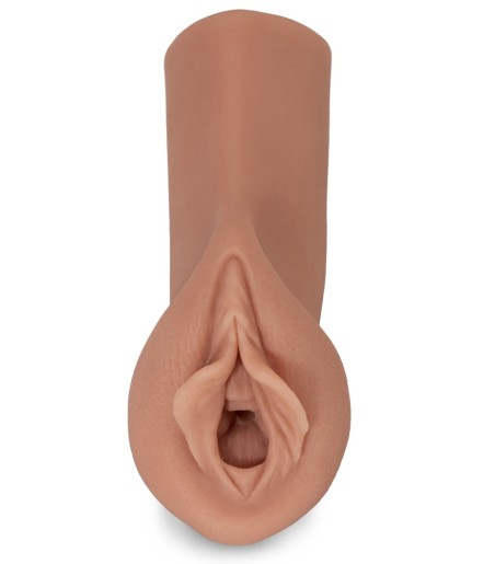 Sorority Snatch, lösmus