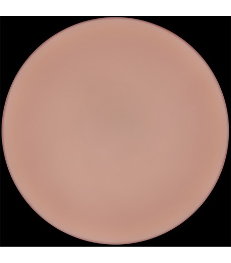 Lovetoy - 9" Sliding-Skin Pro II