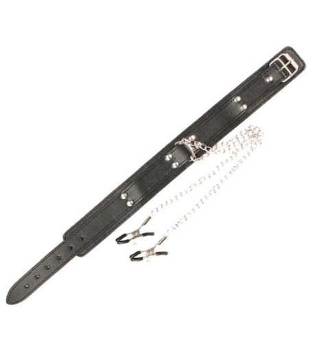 Collar with Chain Nipple Clamps