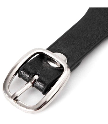 Collar with Leash and Bell, snygg halskedja med koppel