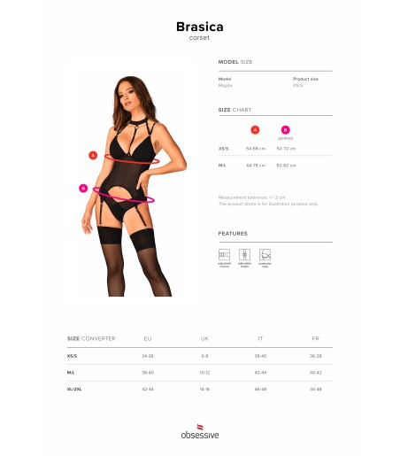 Obsessive - Brasica Corset & Panies