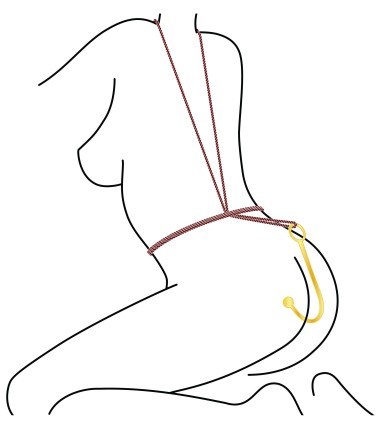 Taboom - Luxury Anal Hook