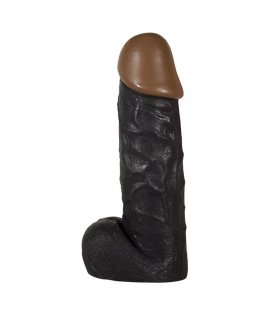 Prince of Namibia, 20cm