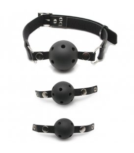 Ball Gag Training System