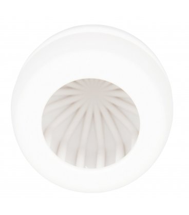 Europe Magic Wand + Silky Touch