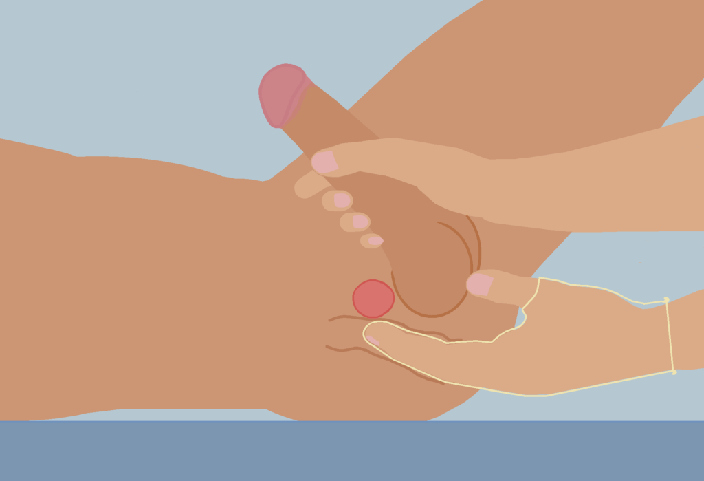 Massera prostatan (Wikipedia)